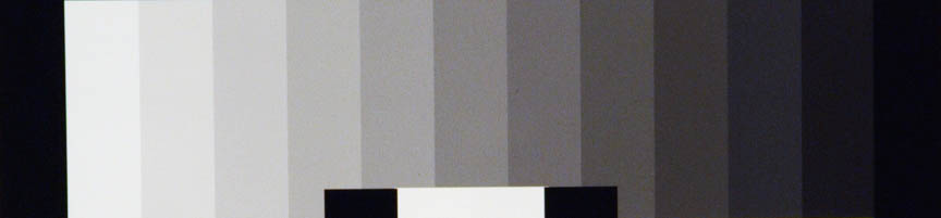 Cropped%20Red%201600%20ASA%20Noise.jpg