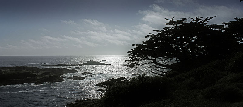 bigsur1.jpg