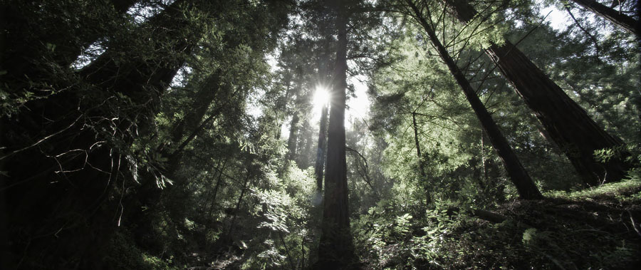 bigsur68.jpg