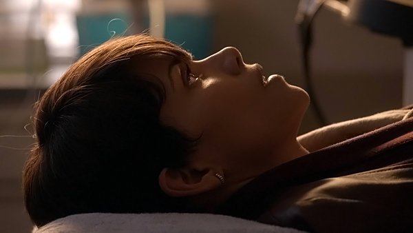 web-extant13