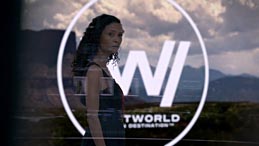 small web-westworld1